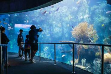 Zoos, Animal Farms and Aquariums in Hollywood Florida