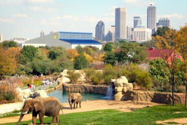 Zoos, Animal Farms and Aquariums in Indianapolis Indiana