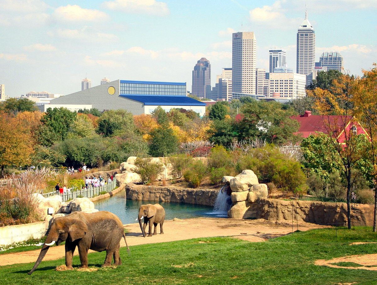 Zoos, Animal Farms and Aquariums in Indianapolis Indiana