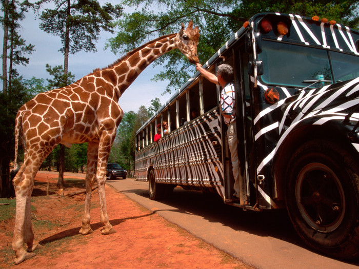 Zoos, Animal Farms and Aquariums in Jackson Mississippi