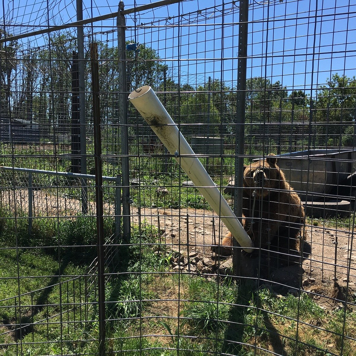 Zoos, Animal Farms and Aquariums in Joliet Illinois