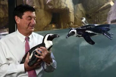 Zoos, Animal Farms and Aquariums in Kenner Louisiana