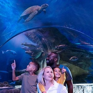 Zoos, Animal Farms and Aquariums in Lakeville Minnesota