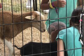 Zoos, Animal Farms and Aquariums in Lauderhill Florida