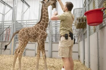 Zoos, Animal Farms and Aquariums in Lincoln Nebraska