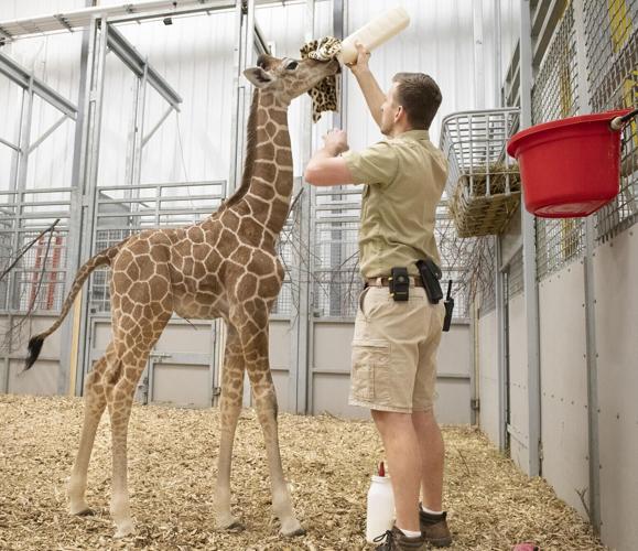 Zoos, Animal Farms and Aquariums in Lincoln Nebraska