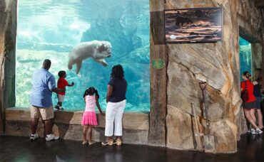 Zoos, Animal Farms and Aquariums in Louisville Kentucky