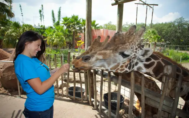 Zoos, Animal Farms and Aquariums in Miami Gardens Florida