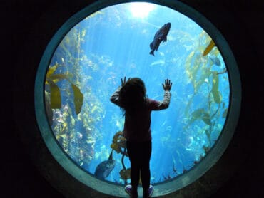 Zoos, Animal Farms and Aquariums in Mobile Alabama