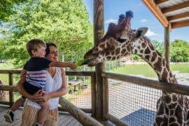 Zoos, Animal Farms and Aquariums in Montgomery Alabama