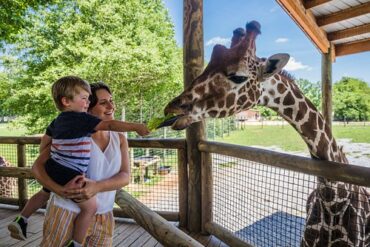 Zoos, Animal Farms and Aquariums in Montgomery Alabama