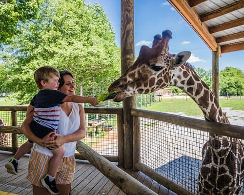 Zoos, Animal Farms and Aquariums in Montgomery Alabama