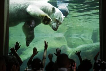 Zoos, Animal Farms and Aquariums in Mount Vernon New York