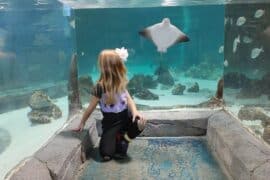 Zoos, Animal Farms and Aquariums in New Haven Connecticut