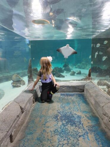 Zoos, Animal Farms and Aquariums in New Haven Connecticut