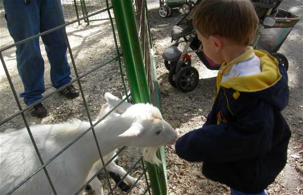 Zoos, Animal Farms and Aquariums in Poinciana Florida