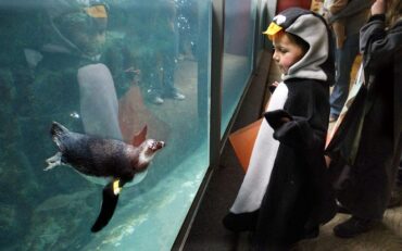 Zoos, Animal Farms and Aquariums in Pueblo Colorado