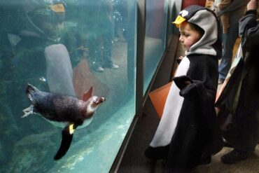 Zoos, Animal Farms and Aquariums in Pueblo Colorado