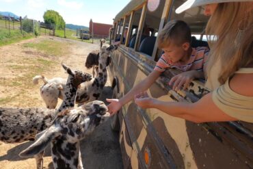 Zoos, Animal Farms and Aquariums in Roanoke Virginia