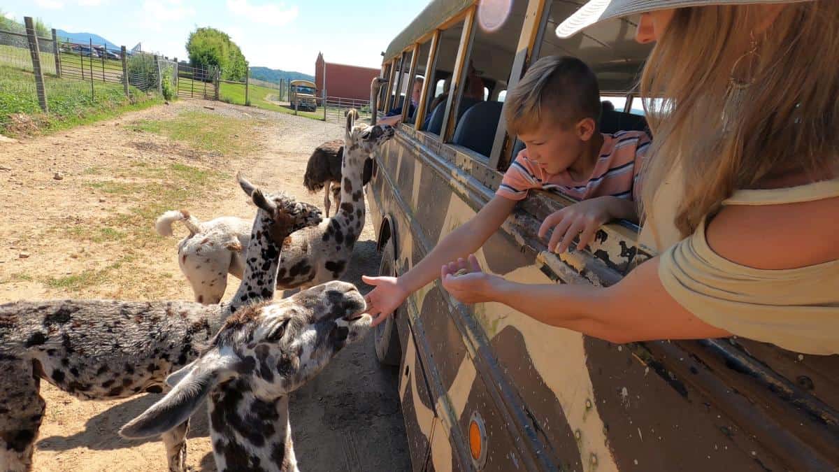 Zoos, Animal Farms and Aquariums in Roanoke Virginia