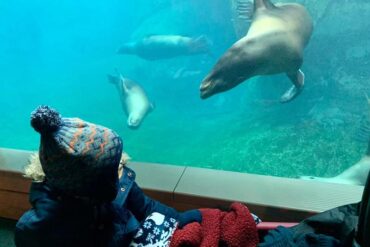 Zoos, Animal Farms and Aquariums in Rochester New York