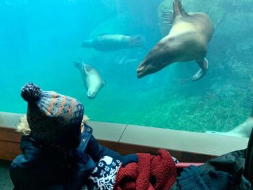 Zoos, Animal Farms and Aquariums in Rochester New York