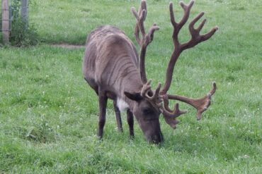 Zoos, Animal Farms and Aquariums in Rockford Illinois