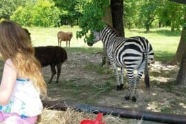 Zoos, Animal Farms and Aquariums in Shreveport Louisiana