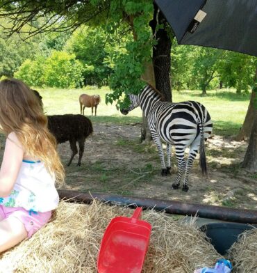 Zoos, Animal Farms and Aquariums in Shreveport Louisiana