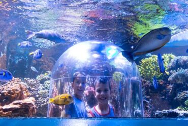 Zoos, Animal Farms and Aquariums in Sioux Falls South Dakota