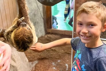 Zoos, Animal Farms and Aquariums in Suffolk Virginia