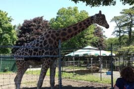 Zoos, Animal Farms and Aquariums in Yonkers New York