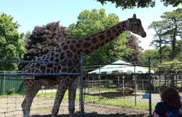 Zoos, Animal Farms and Aquariums in Yonkers New York