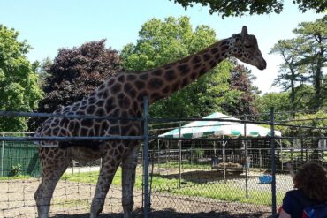 Zoos, Animal Farms and Aquariums in Yonkers New York