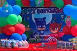 5 year old birthday party venues in Gastonia North Carolina