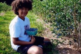 Blueberry Picking Places in Springfield Massachusetts