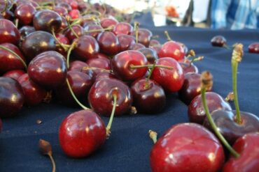 Cherry Picking Places in Concord North Carolina