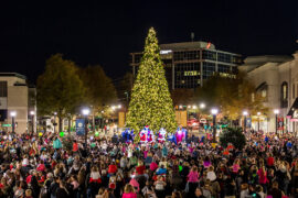 Christmas Lights in Cary North Carolina