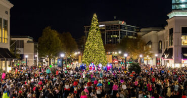 Christmas Lights in Cary North Carolina