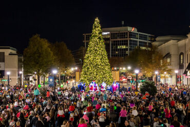 Christmas Lights in Cary North Carolina