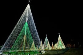 Christmas Lights in Fayetteville North Carolina