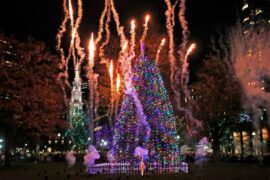 Christmas Lights in Newton Massachusetts