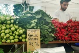 Farmers Markets in Framingham Massachusetts