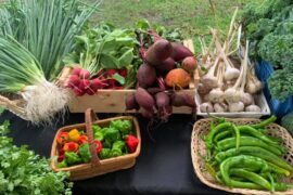 Farmers Markets in Lowell Massachusetts