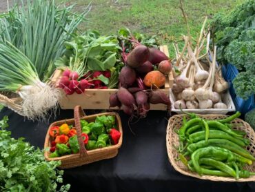 Farmers Markets in Lowell Massachusetts