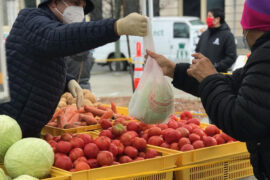 Farmers Markets in Lynn Massachusetts