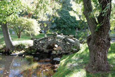 Free Attractions in Newton Massachusetts