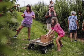 Fruit Picking for Kids in Concord North Carolina