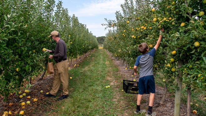 Fruit Picking for Kids in Evansville Indiana