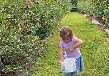 Fruit Picking for Kids in Fayetteville North Carolina